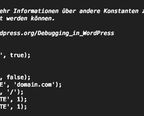Fehler beim Aufbau einer Datenbankverbindung bei der WordPress Multisite Installation